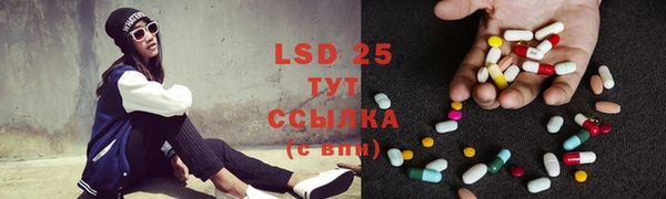 индика Алзамай