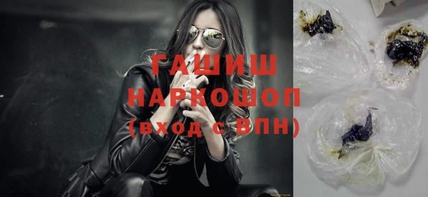 индика Алзамай