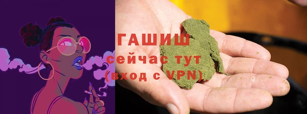 индика Алзамай