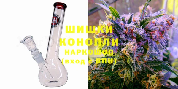 индика Алзамай