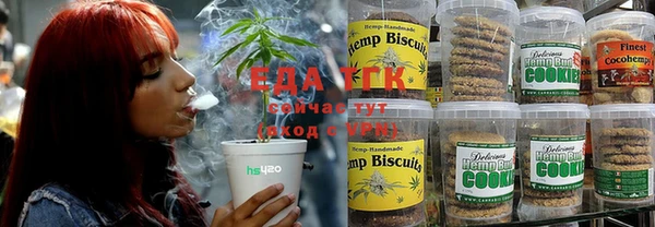 индика Алзамай