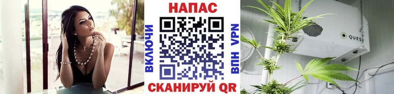 Конопля конопля  Палласовка 